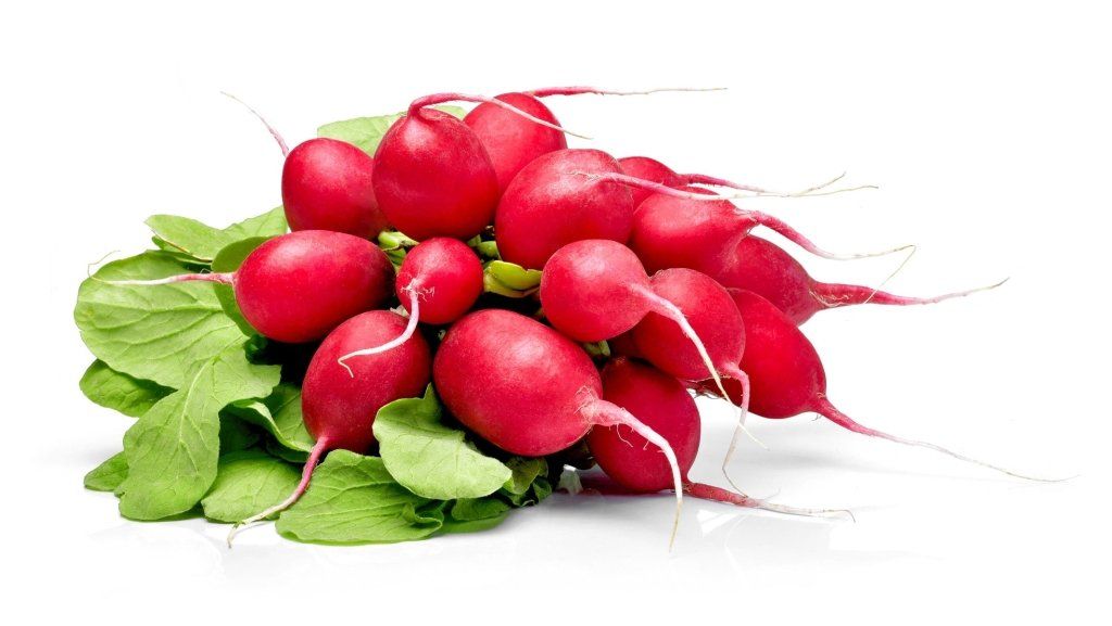 Radish - Jutrzenka seeds - Happy Valley Seeds