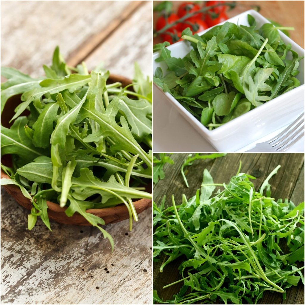 Rocket - Salad seeds - Happy Valley Seeds