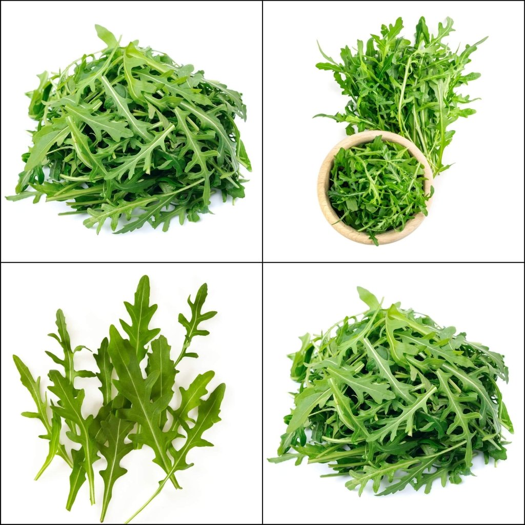 Rocket - Wild seeds - Happy Valley Seeds