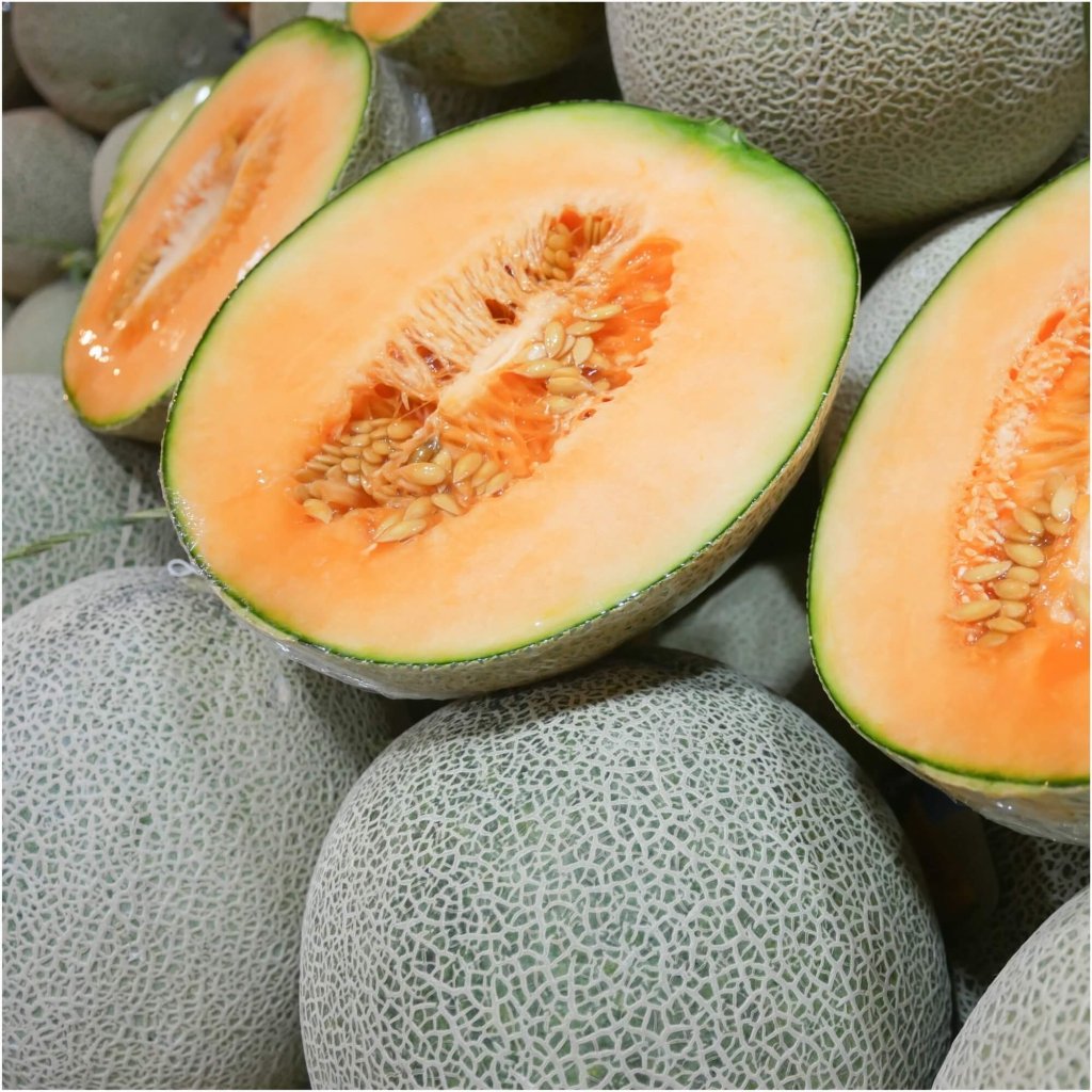 Rockmelon - Hales Jumbo seeds - Happy Valley Seeds