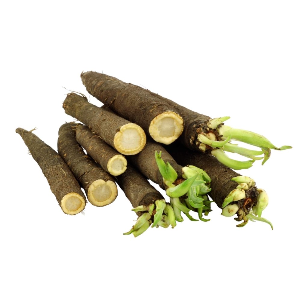 Salsify - Black Duplex seeds - Happy Valley Seeds