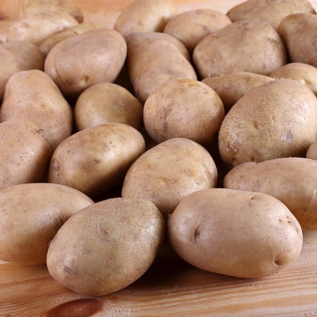 Seed Potato - Mayflower - Happy Valley Seeds