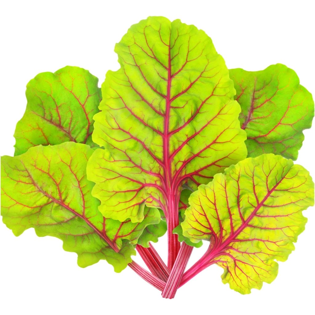 Silverbeet - Ruby Red seeds - Happy Valley Seeds
