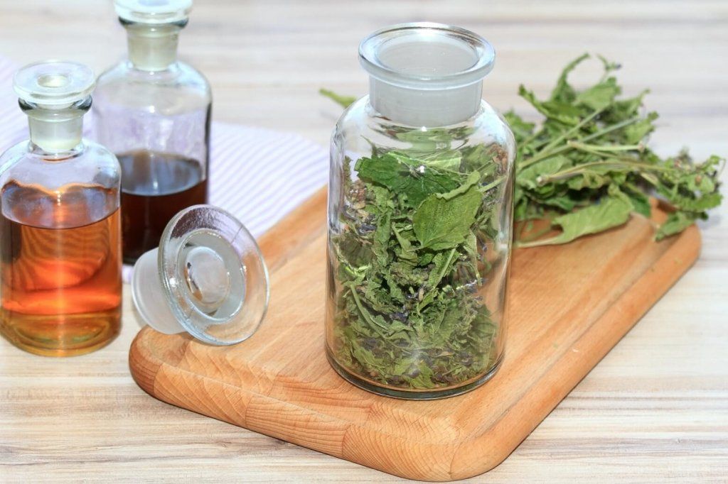 Skullcap Baical seeds - Happy Valley Seeds