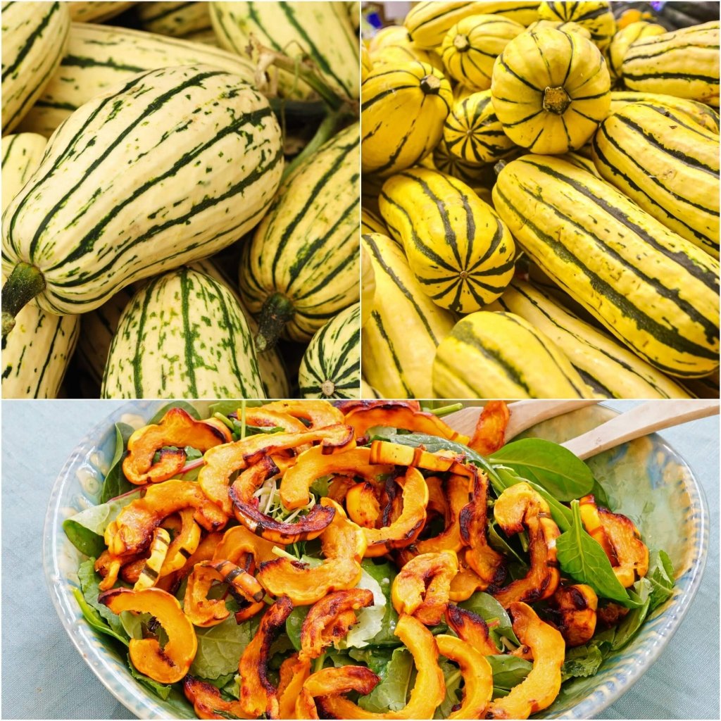 Squash - Delicata seeds - Happy Valley Seeds