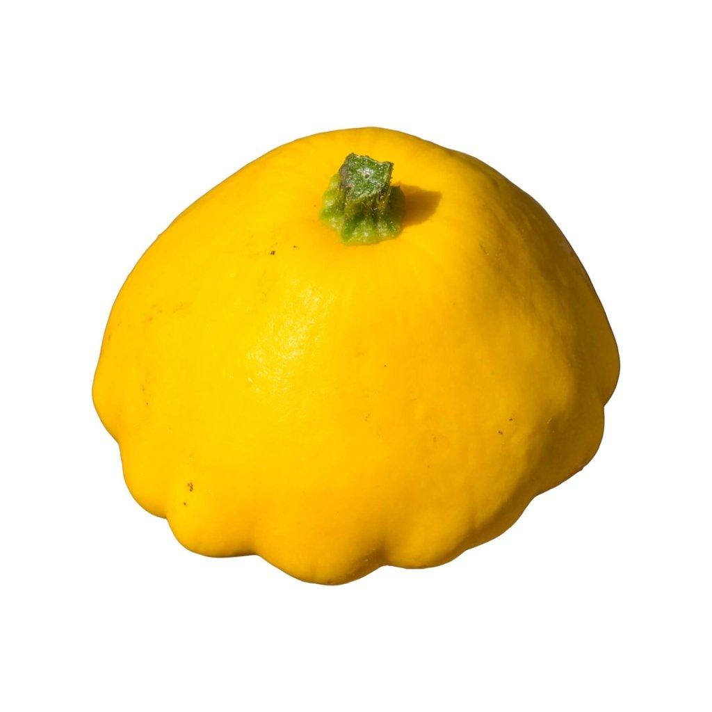 Squash - Golden Custard seeds - Happy Valley Seeds