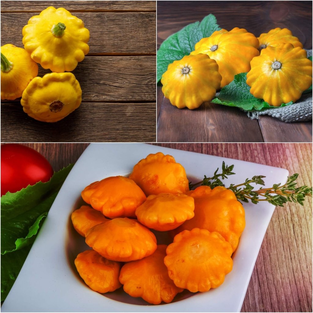 Squash - Scallop Yellow Bush seeds - Happy Valley Seeds