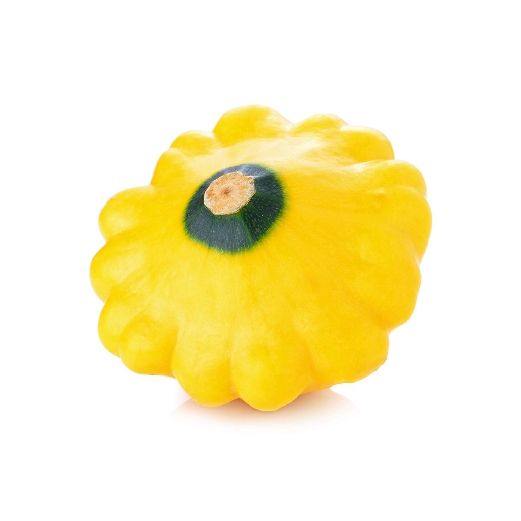 Squash - Sunburst F1 (Yellow Button) seeds - Happy Valley Seeds