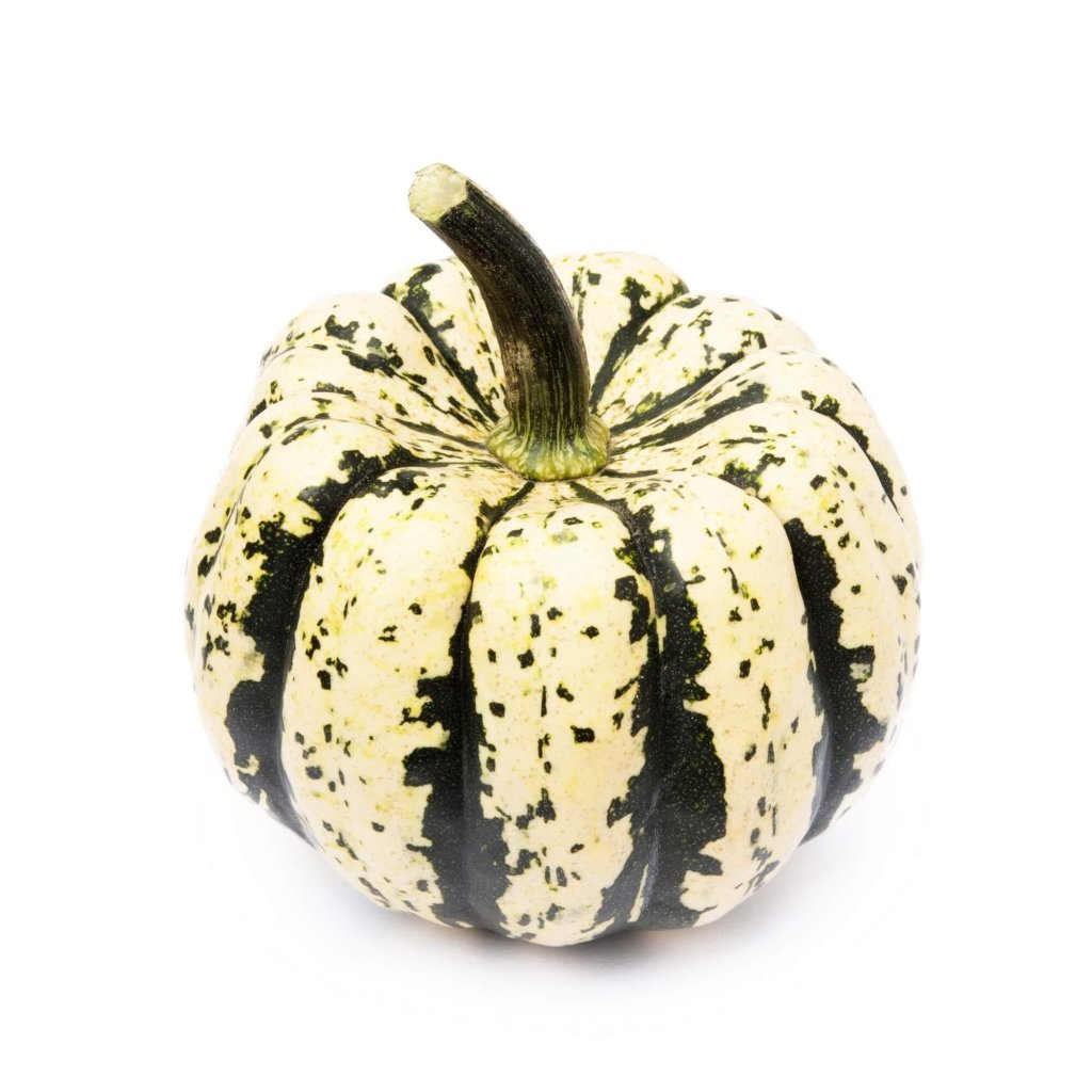 Squash - Sweet Dumpling seeds - Happy Valley Seeds