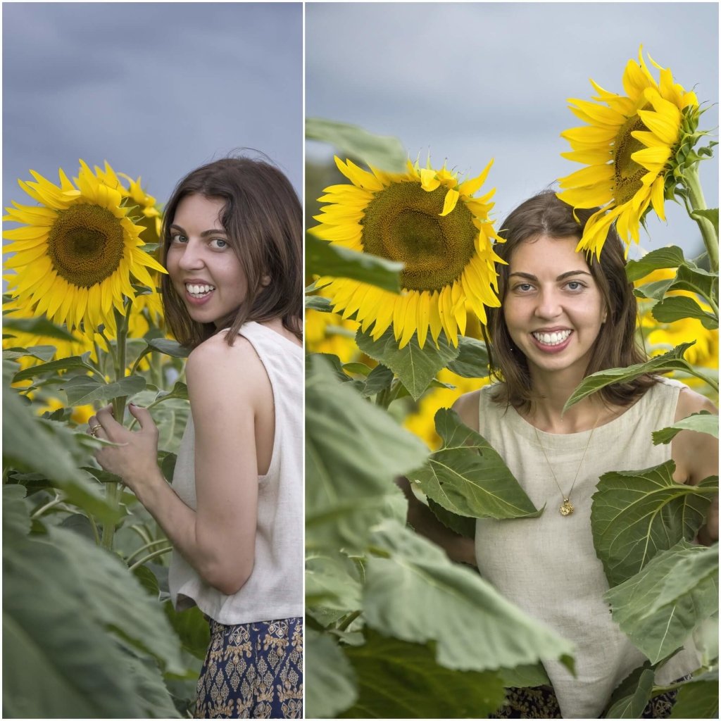 Sunflower - Giant Russian seeds - Happy Valley Seeds