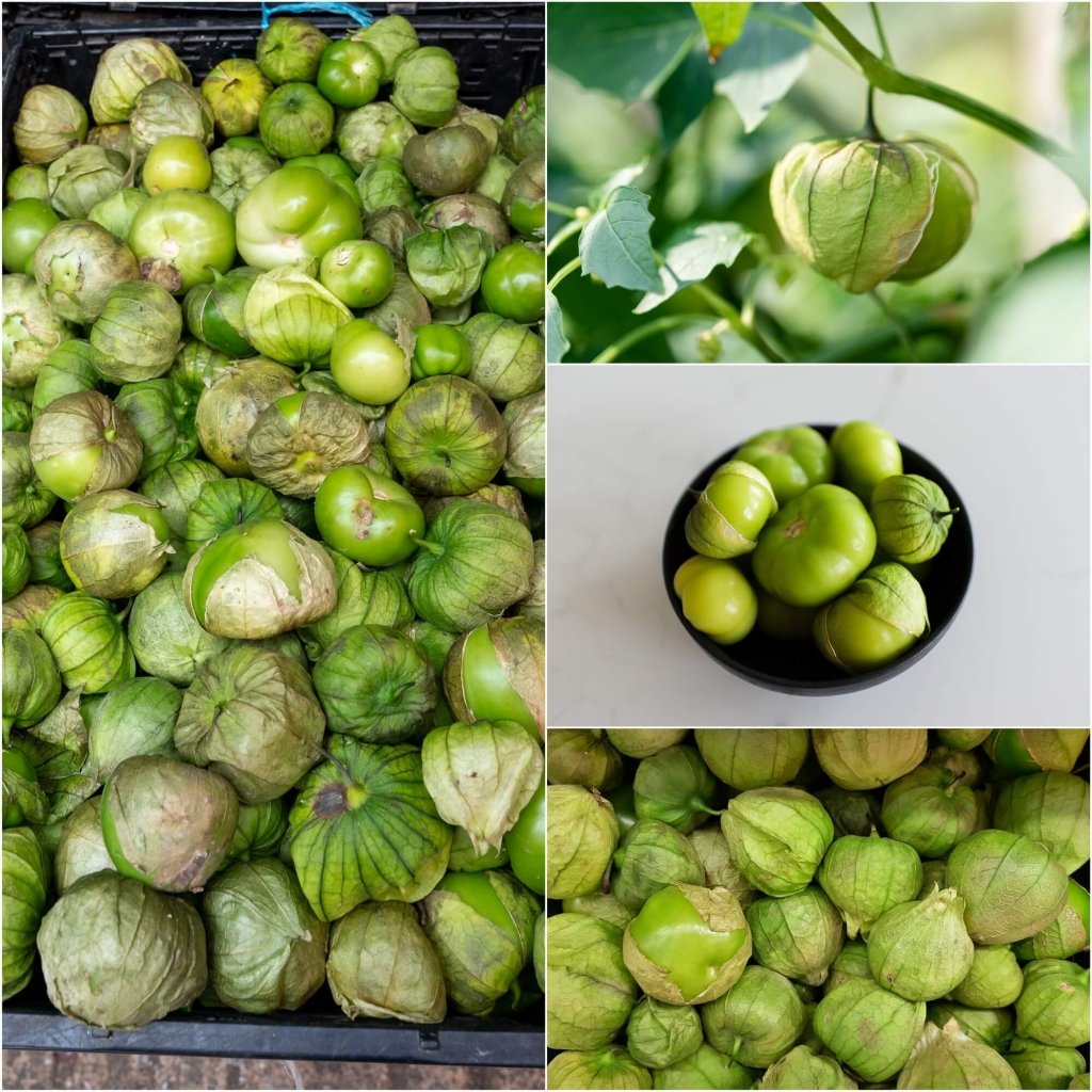 Buy Tomatillo Verde Puebla seeds Online Happy Valley Seeds