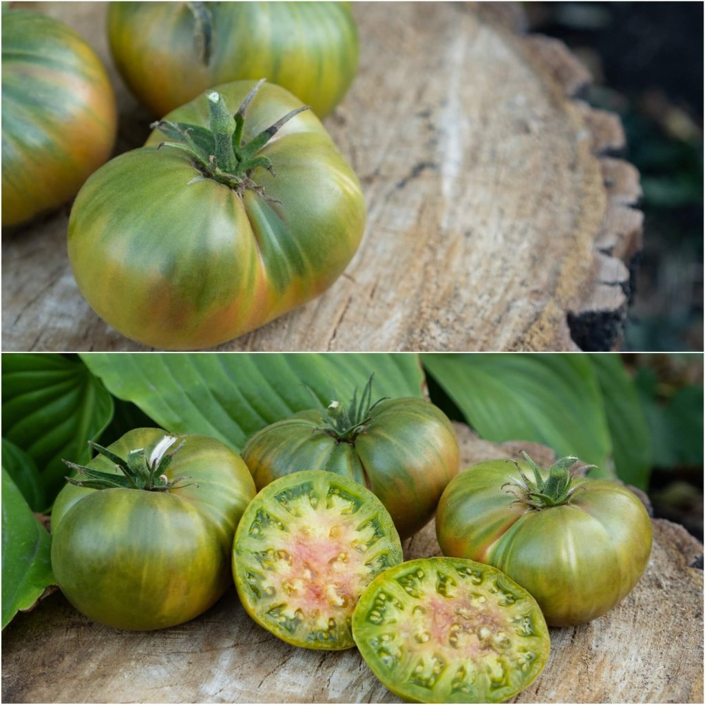 Tomato - Aunt Rubys Green seeds - Happy Valley Seeds