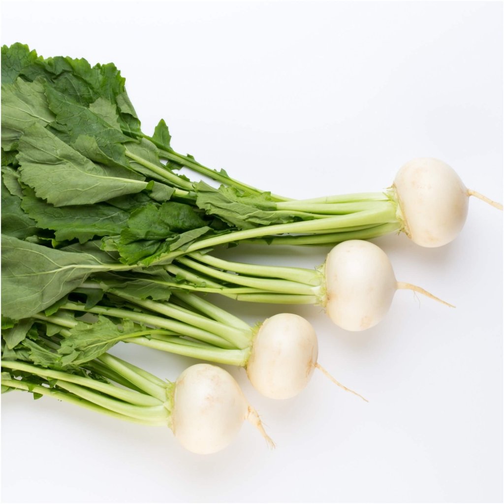 Turnip - Leaf Turnip seeds - Happy Valley Seeds