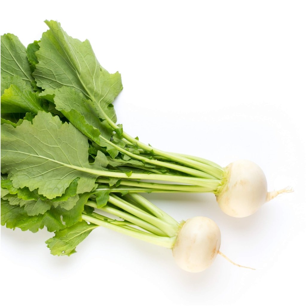 Turnip - Leaf Turnip seeds - Happy Valley Seeds