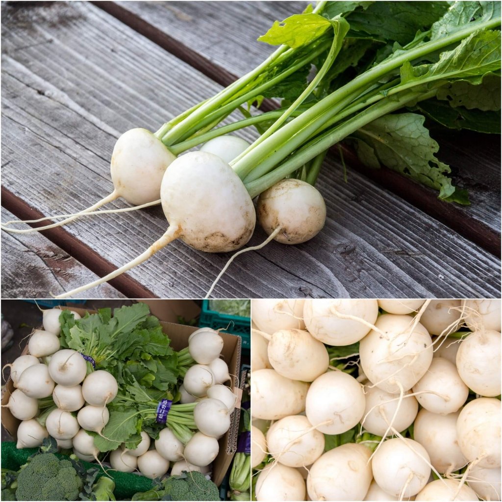 Turnip - Tokyo Cross F1 (Japanese) seeds - Happy Valley Seeds