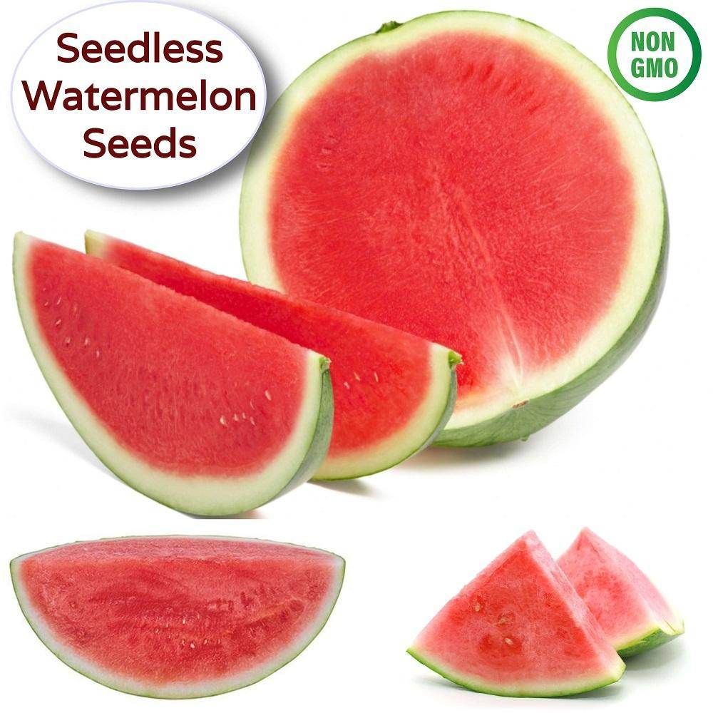 plant seedless watermelon seeds Watermelon Seedless F1 Seeds