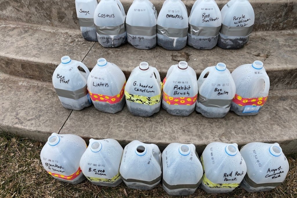 Beating the cold: frost protection and stretching your growing season - Happy Valley Seeds