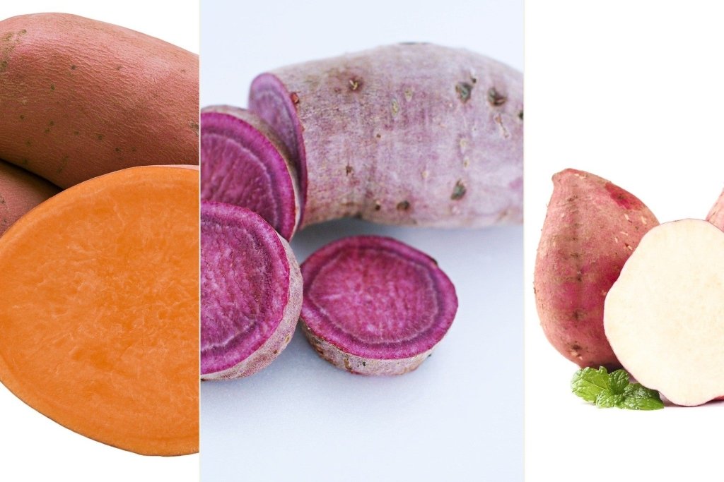 Beauregard, Eclipse or Northern Star: which sweet potato should you grow? - Happy Valley Seeds