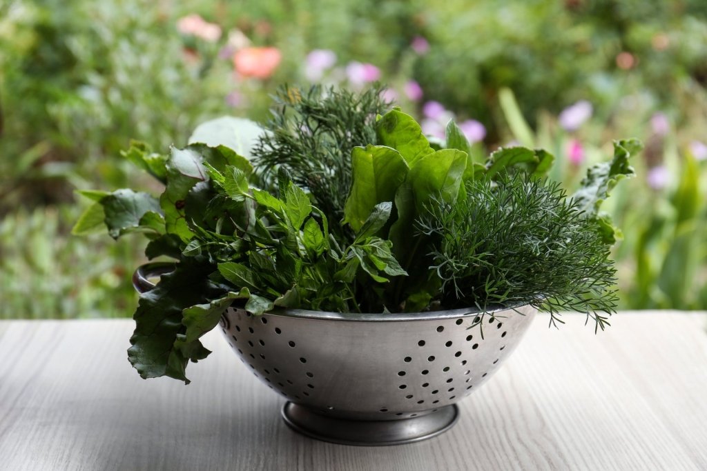 Cost-Effective Vegetables to Grow at Home in Australia - Happy Valley Seeds