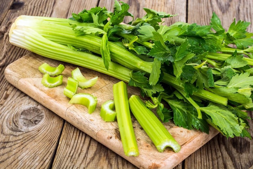 Grow Celery in Your Garden for a Unique & Healthy Experience - Happy Valley Seeds