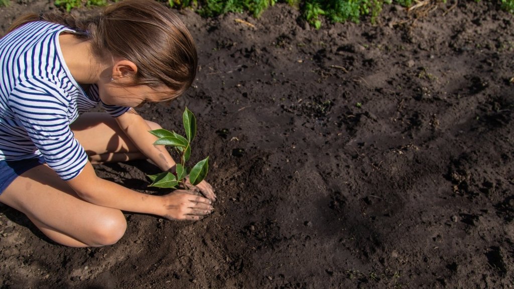 Growing from Seed with Kids: Why It Works and Where to Start - Happy Valley Seeds