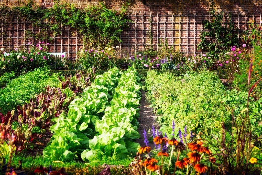 Growing Vegetables in the Subtropics and Tropics: What Works - Happy Valley Seeds