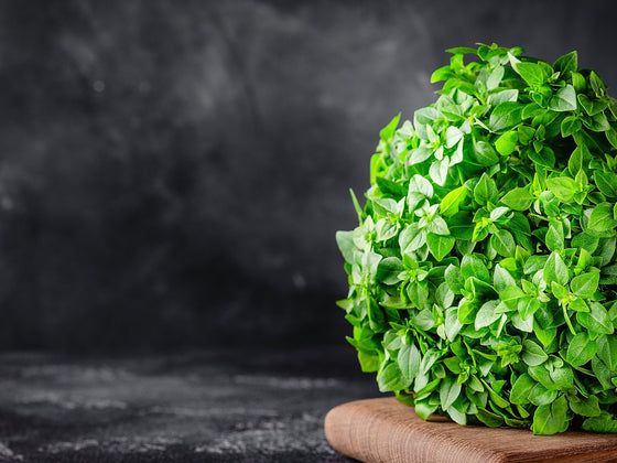 Herbs to Sow in December: Warm-Soil Herbs, a Second Basil and a Christmas Trim
