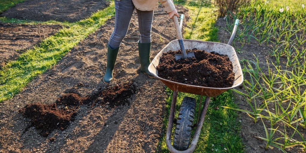 How to Prepare a Garden Bed for Planting - Happy Valley Seeds