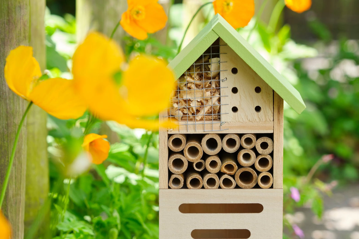 A wooden insect hotel with bamboo nesting tubes in a summer garden.