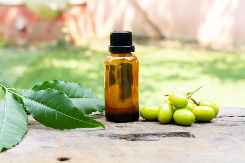 Neem Oil: How to Use It, and Its Australian Limits - Happy Valley Seeds