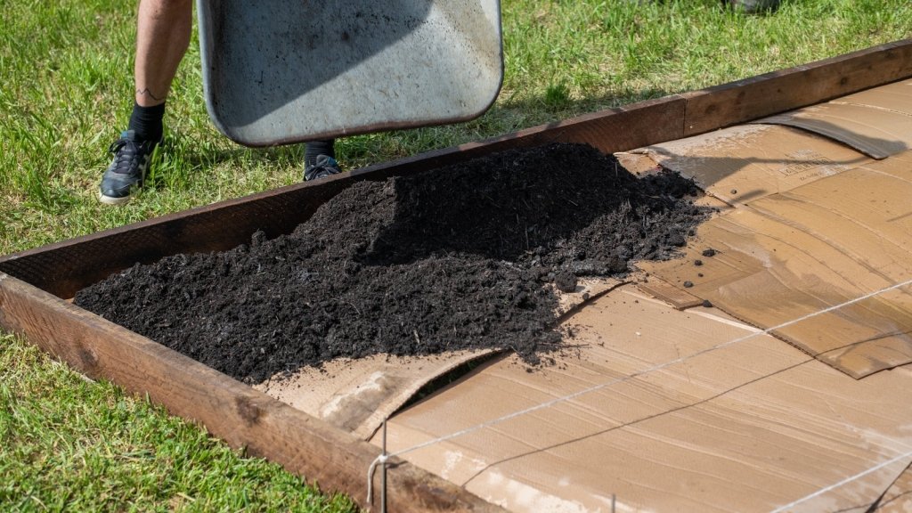 No-Dig Beds: How to Build a Weed-Free Garden Bed with Sheet Mulching - Happy Valley Seeds