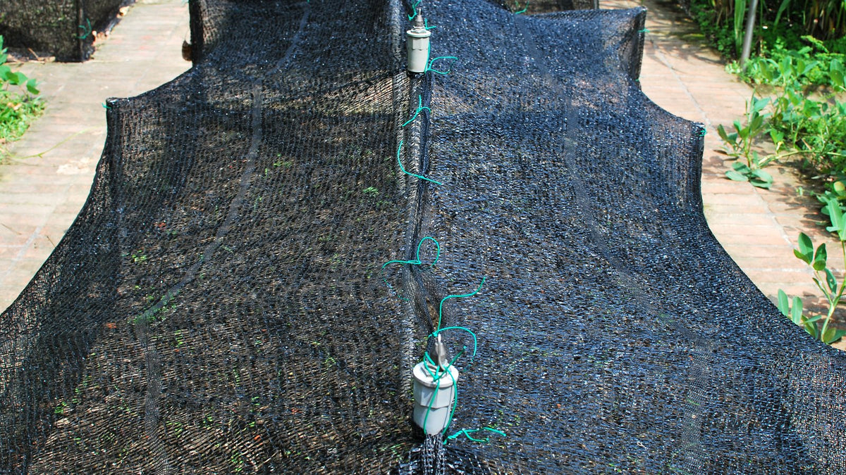 Black shade cloth stretched over a vegetable bed in full sun