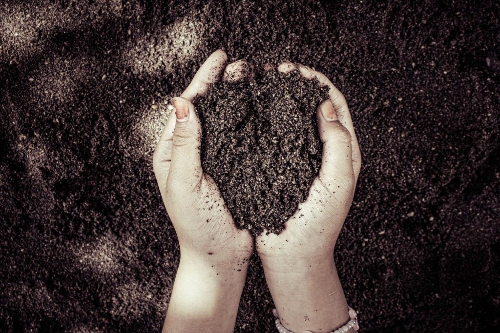 Sandy, clay or loam? Understanding and improving your soil type - Happy Valley Seeds