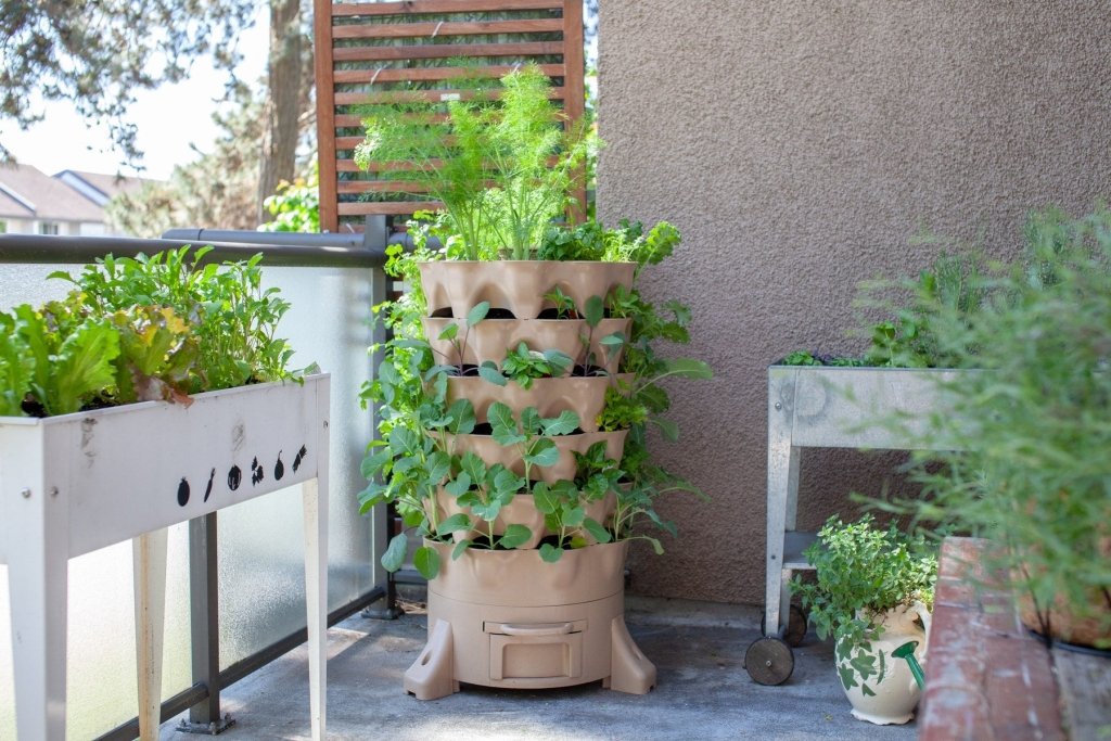 Small-Space Food Gardening: Big Harvests from a Balcony or Courtyard - Happy Valley Seeds