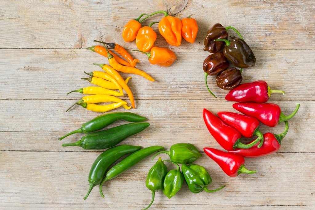 The Chilli Grower's Starter Guide: Heat Levels, Varieties, and What to Do With the Harvest - Happy Valley Seeds