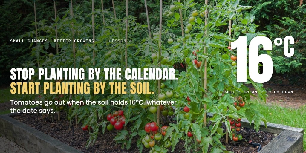 The Kitchen Thermometer Test: When Your Soil is Actually Ready For Tomatoes, Beans and Corn - Happy Valley Seeds