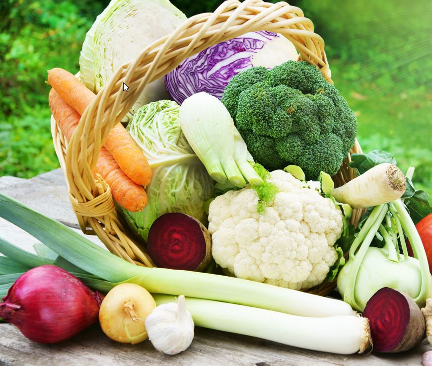 The Ultimate Guide to Winter Gardening: Top 10 Vegetables to Grow - Happy Valley Seeds