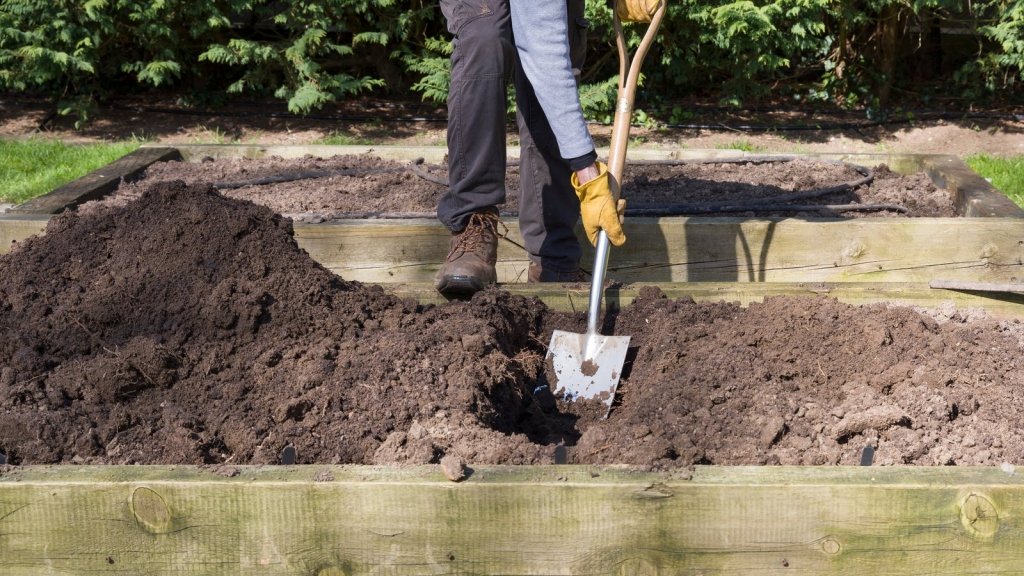 Trench Composting: Bury Your Scraps and Let the Soil Do the Work - Happy Valley Seeds