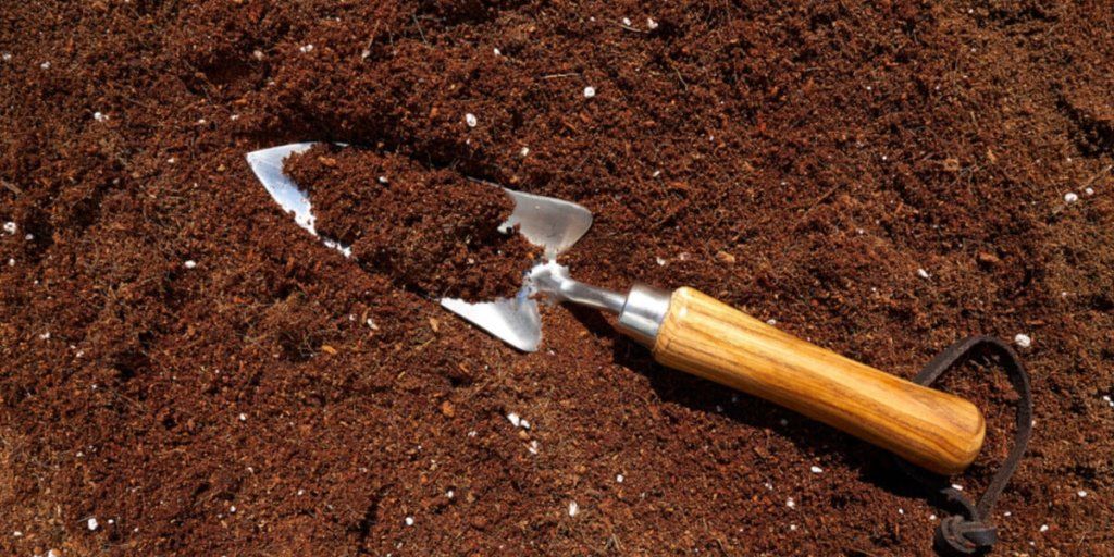 What Makes a Good Seed Starting Mix? Tips from a Master Gardener - Happy Valley Seeds