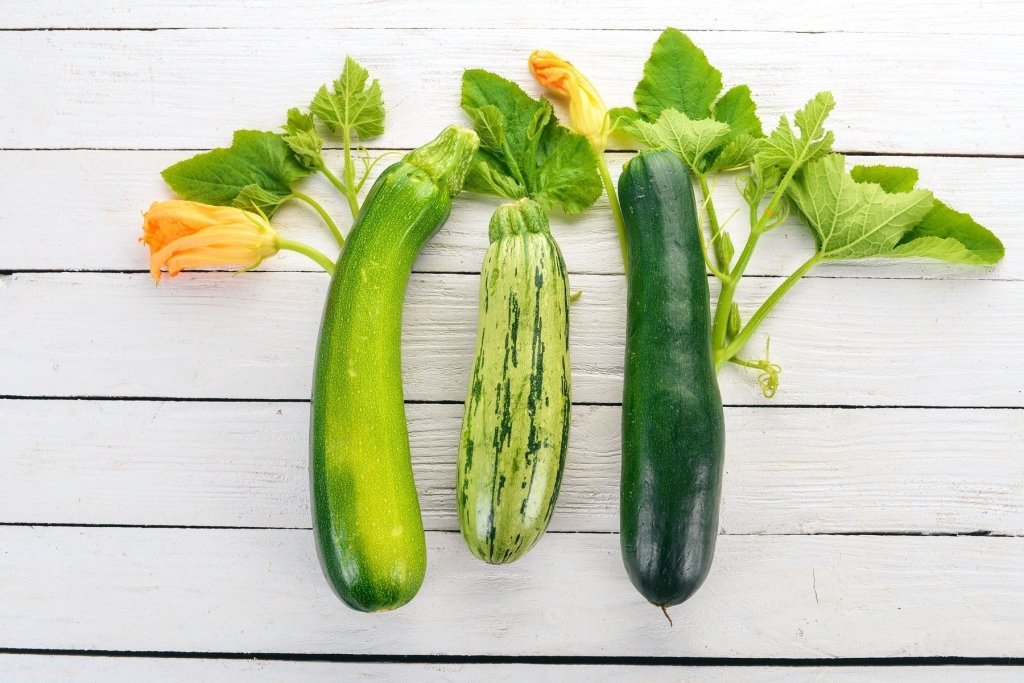 Why your zucchini and pumpkin are not setting fruit - Happy Valley Seeds