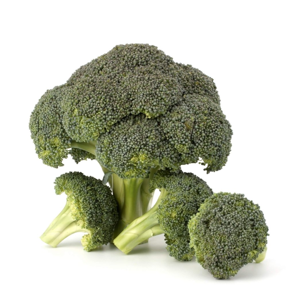 Broccoli Seeds - Happy Valley Seeds
