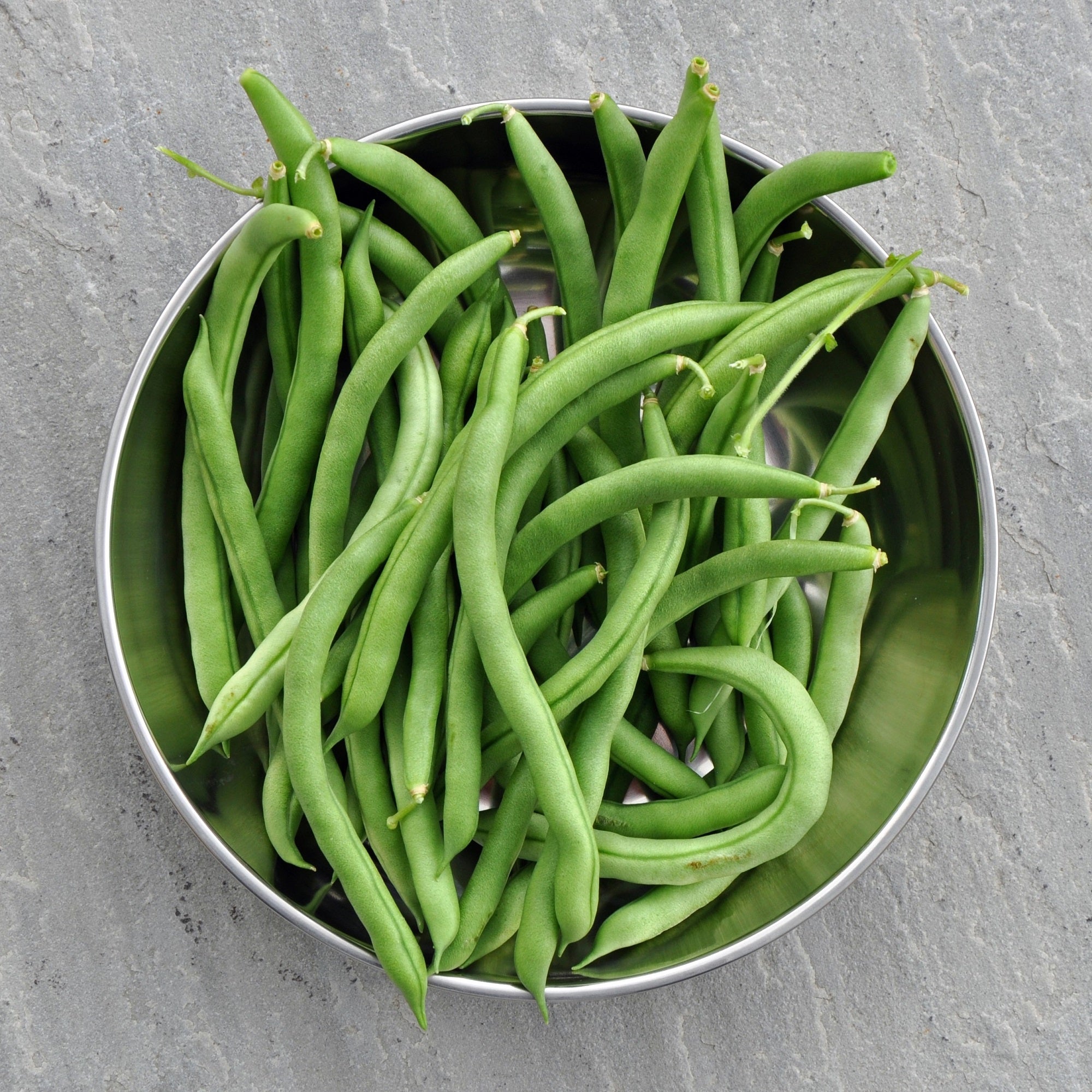 Bean Climbing - Blue Lake seeds