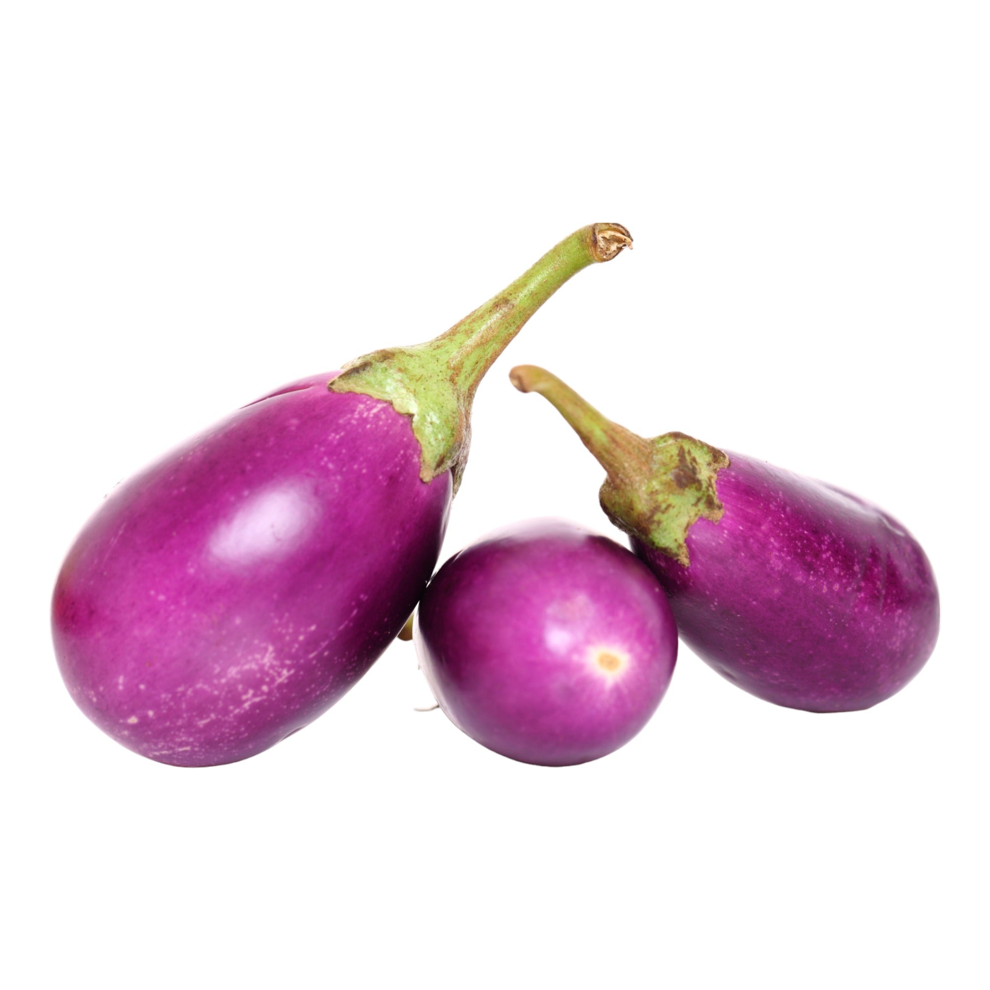 Eggplant - Rosalina F1 seeds