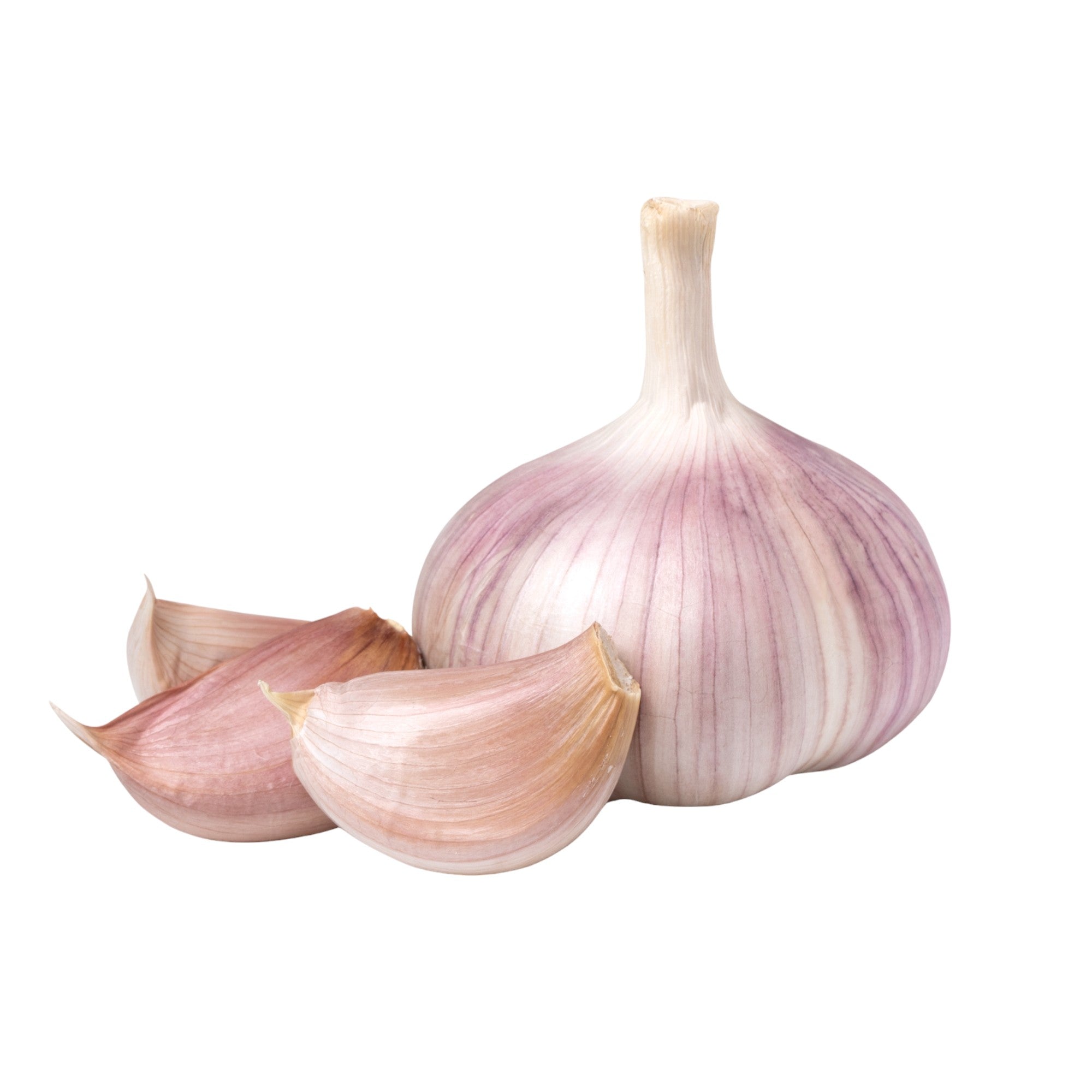 Garlic - Purple (2 Bulbs)