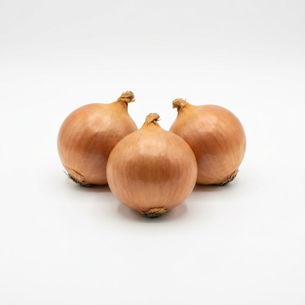 Onion - Early Pukekohe Long Keeper seeds (Organic)