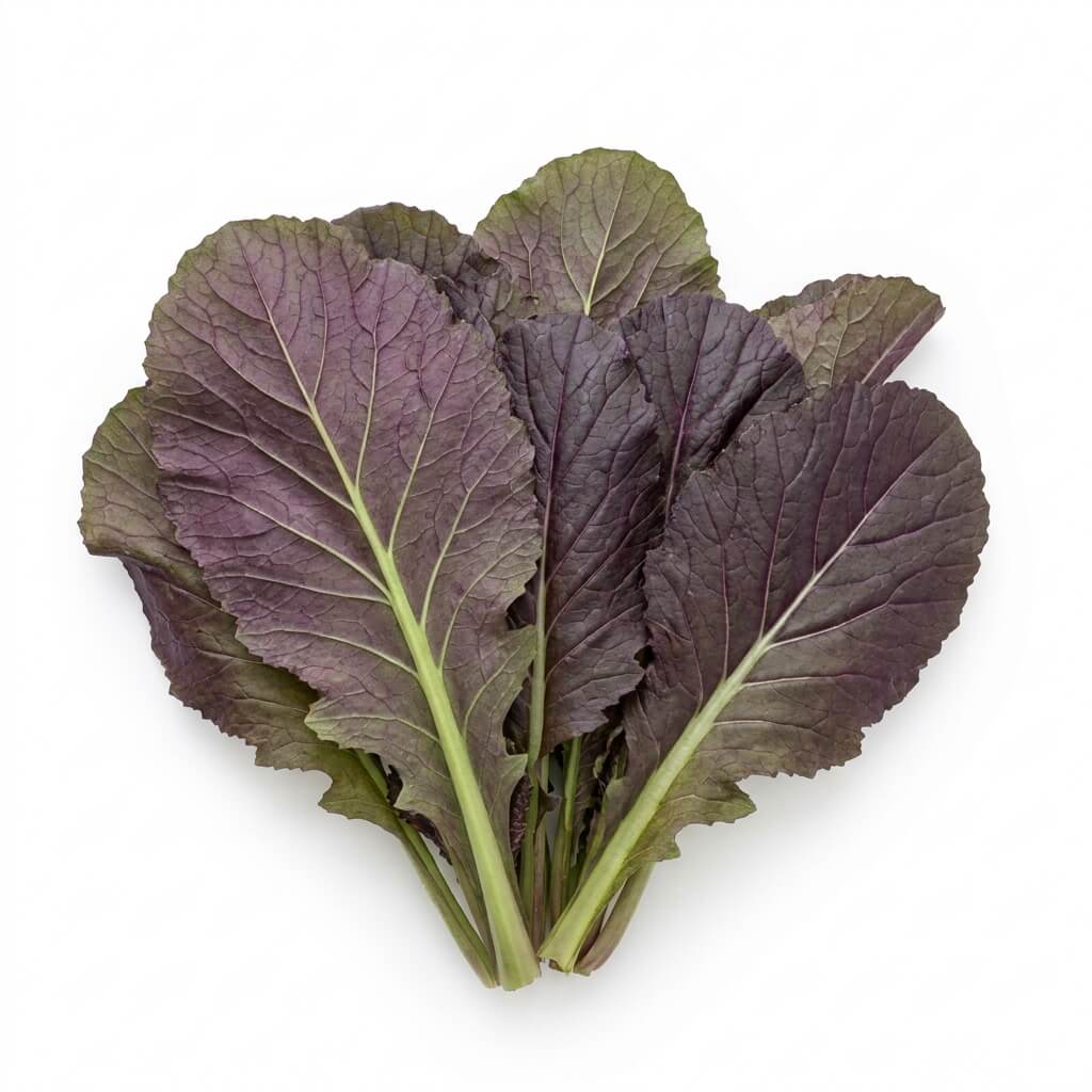 Mustard - Red Giant seeds (Organic)