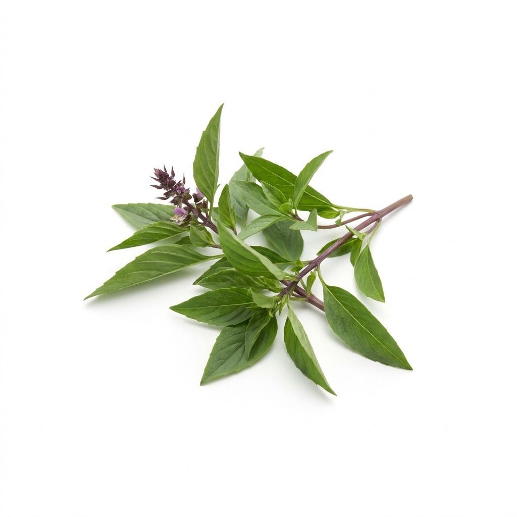 Basil - Thai seeds (Organic) - Happy Valley Seeds