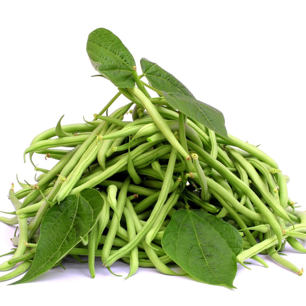 Bean - Dwarf Snap seeds (Organic) - Happy Valley Seeds