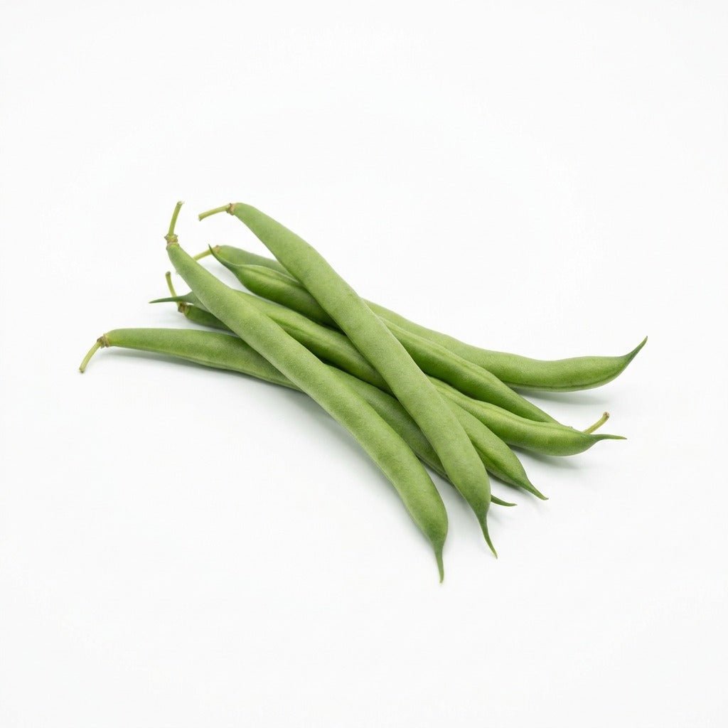 Bean - Dwarf Snap seeds (Organic) - Happy Valley Seeds