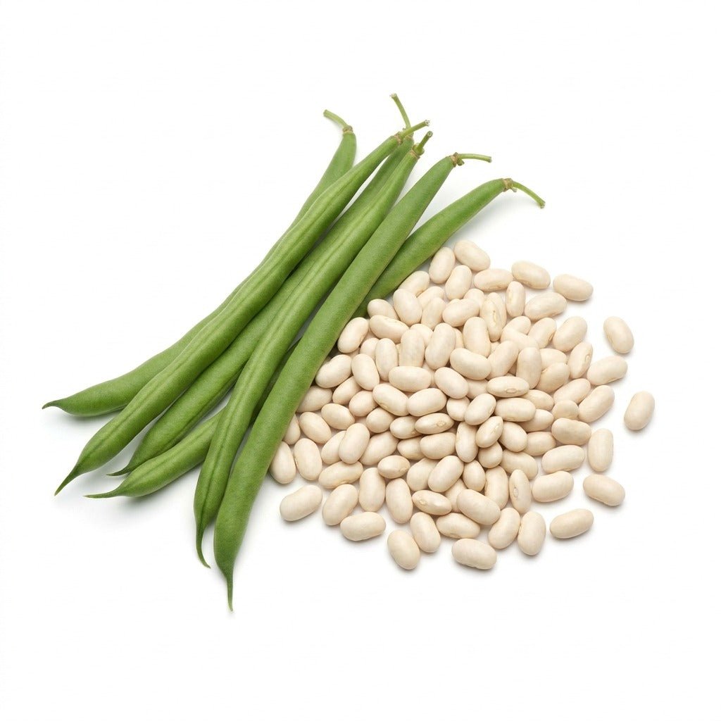 Bean - Haricot seeds (Organic) - Happy Valley Seeds